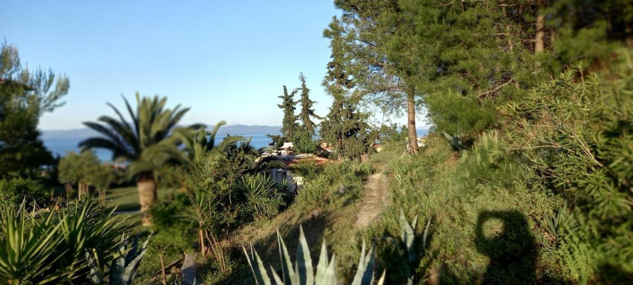 Seaside View Villa هانيوتي المظهر الخارجي الصورة