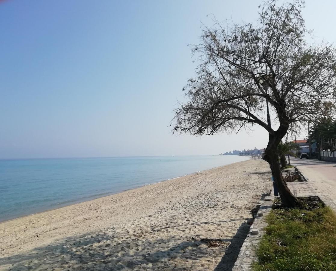 Seaside View Villa هانيوتي المظهر الخارجي الصورة